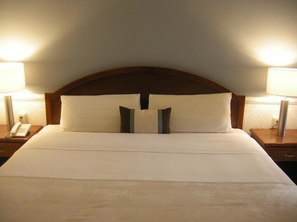Scala Hotel Lagos de Moreno Oda fotoğraf